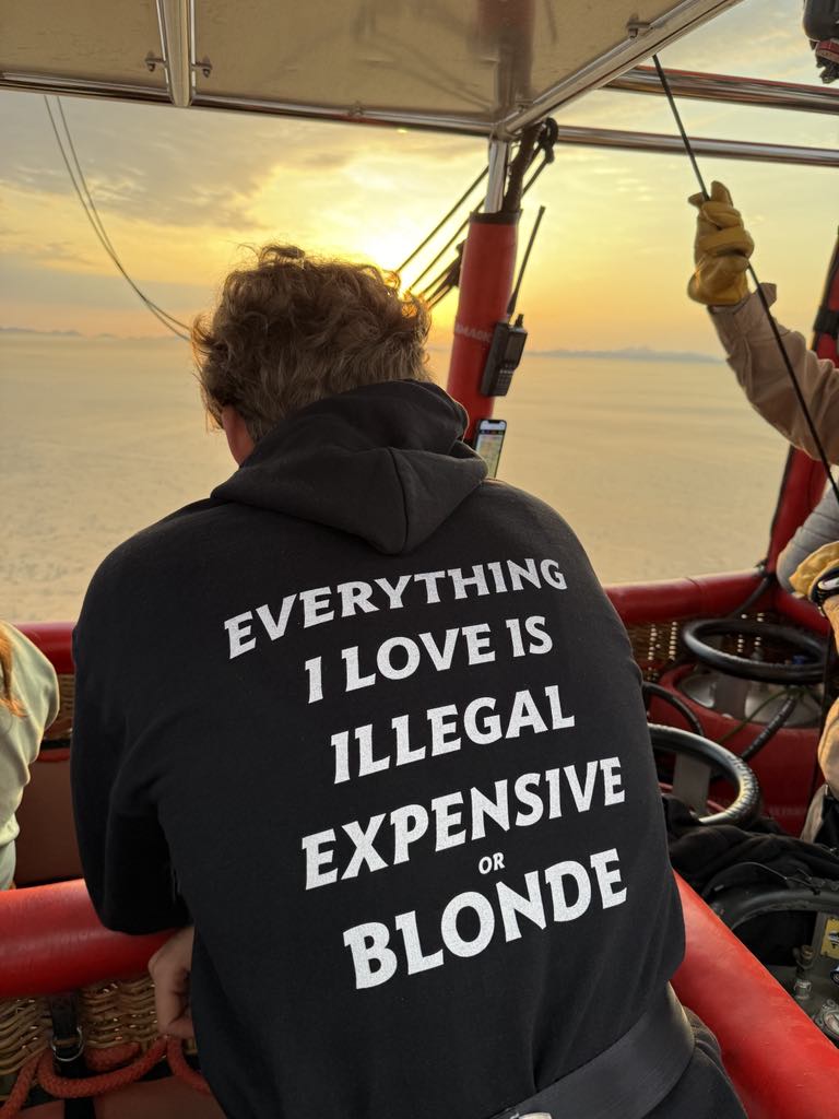 EVERYTHING I LOVE IS ILLEGAL EXPENSIVE OR BLONDE - HOODIE