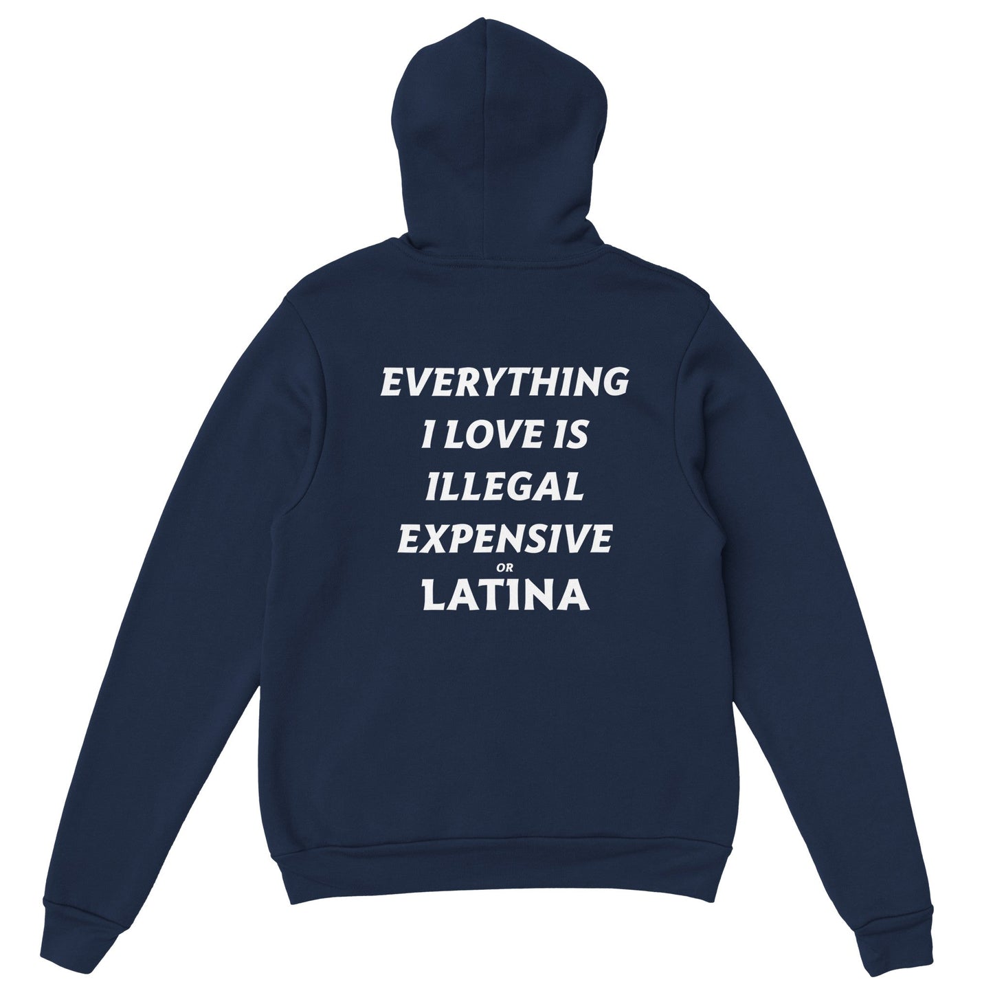 EVERYTHING I LOVE IS ILLEGAL EXPENSIVE OR LATINA - HOODIE